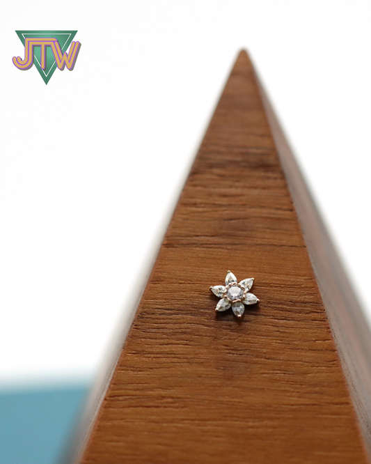 Flowers in the Attic