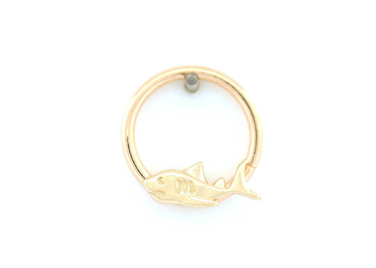 Jaws 3-D
