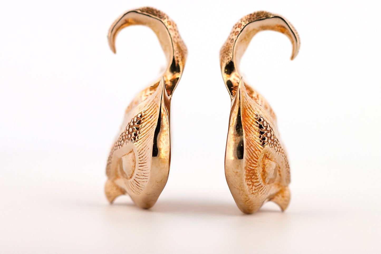 Lil' Owl X - Ear Weights