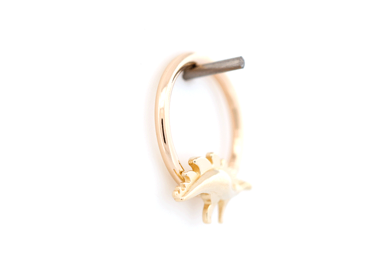 RAWR! Ring